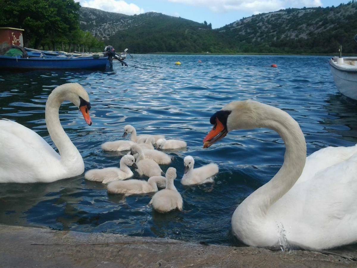Apartman Hill Hotel Skradin Buitenkant foto